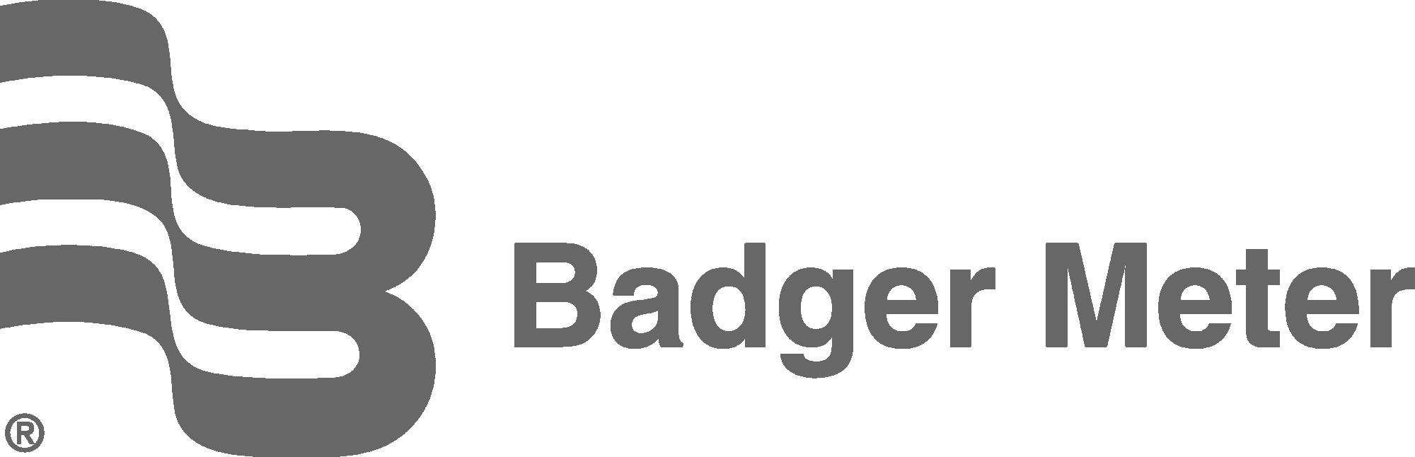 Badger Meter